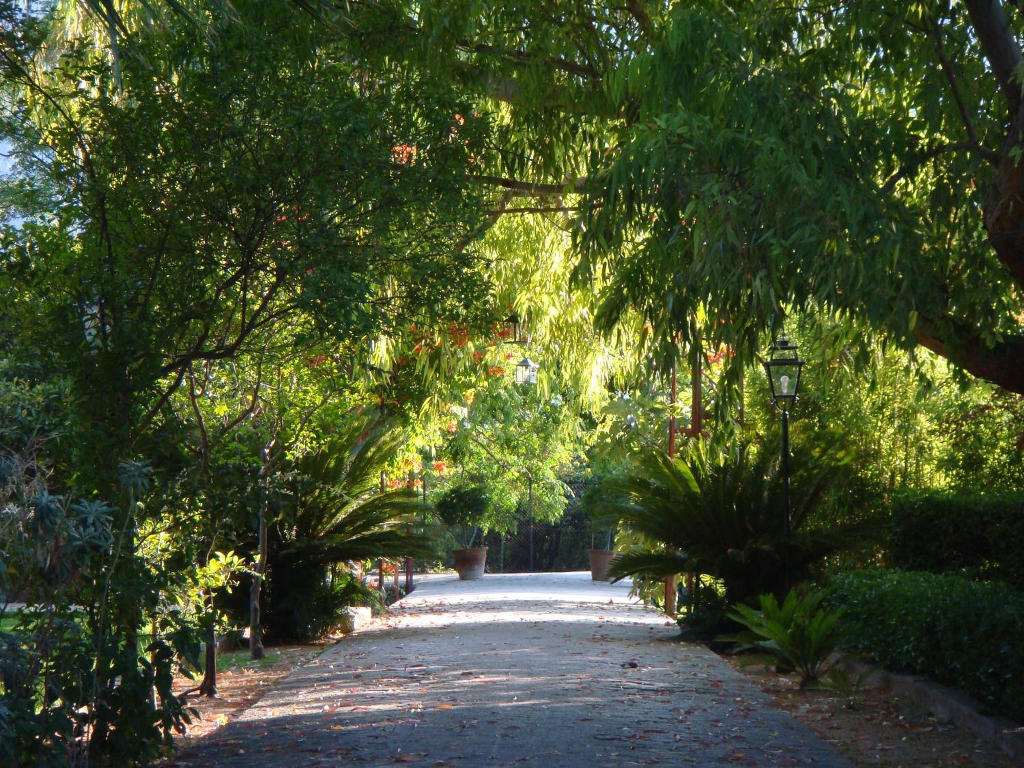 סולר Finca Cas Sant מראה חיצוני תמונה